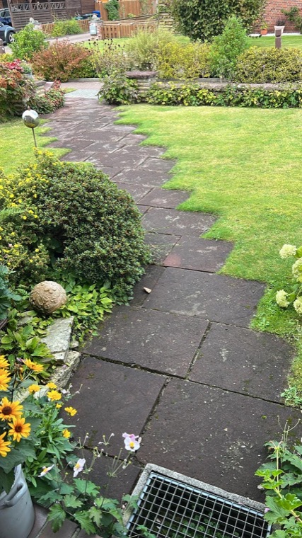 Bestehender Gartenweg aus dunklen Platten zwischen Rasen und Beeten