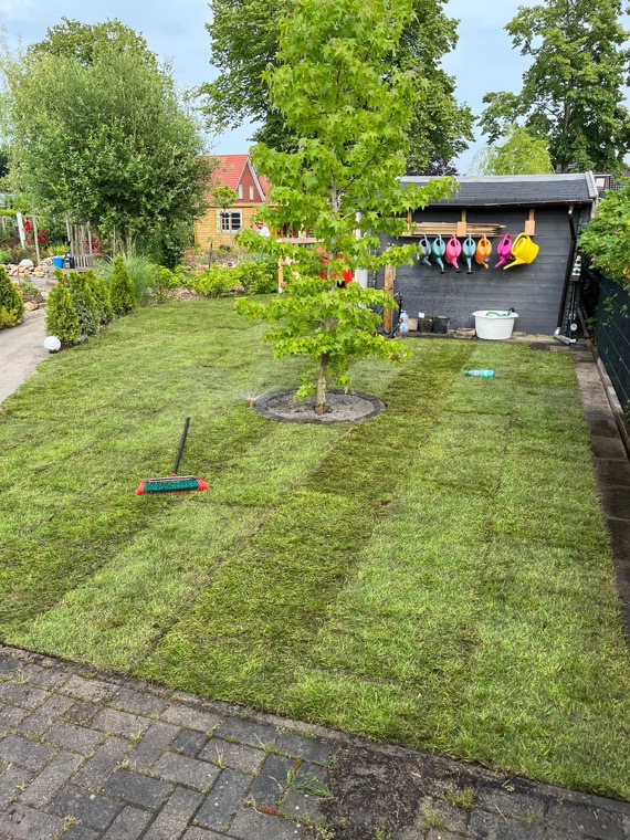 Rasen und junge Bäume mit Steineinfassungen vor einem Gartenhaus